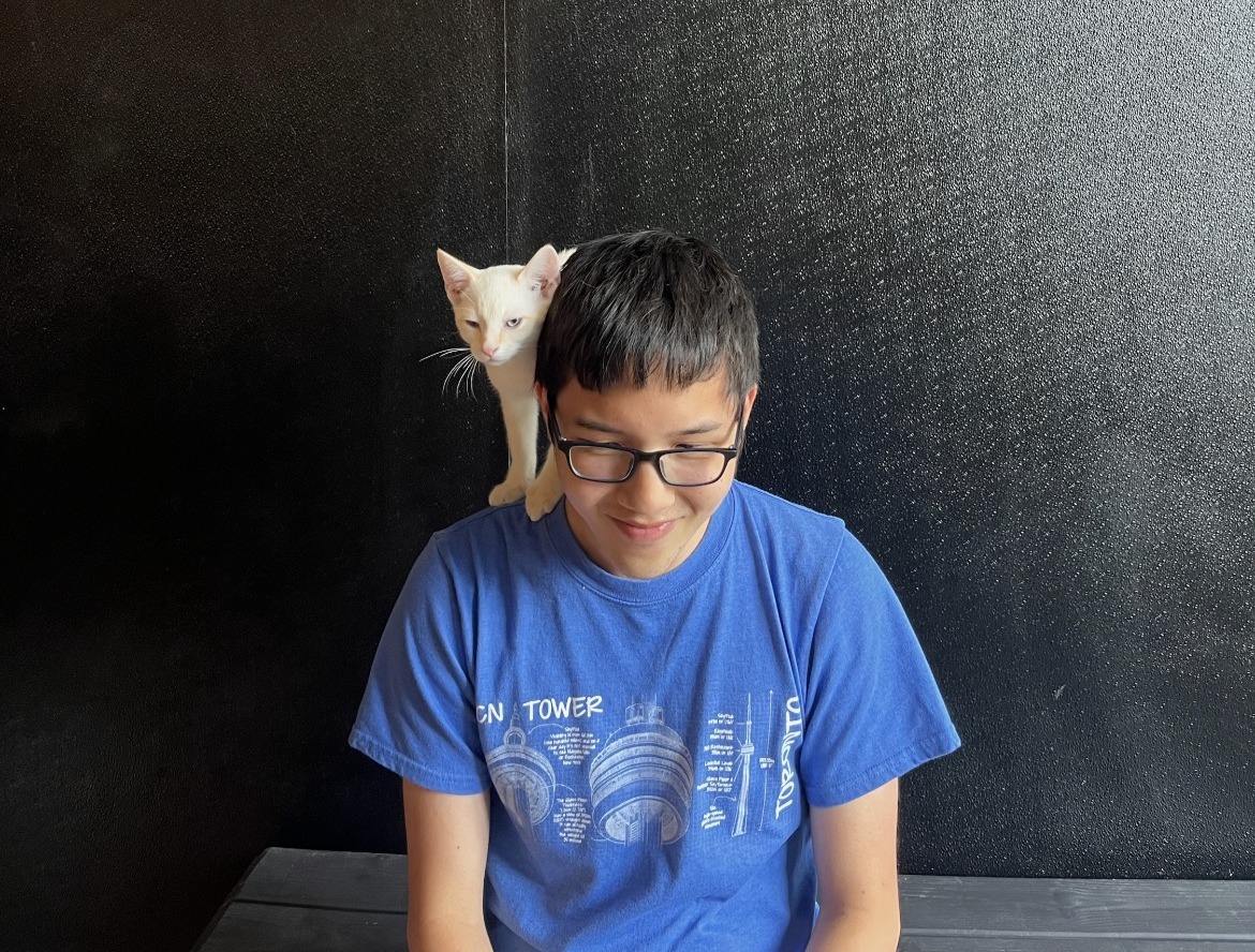 cat